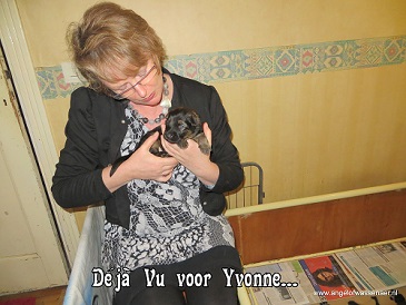 Yvonne heeft een Déjà Vu